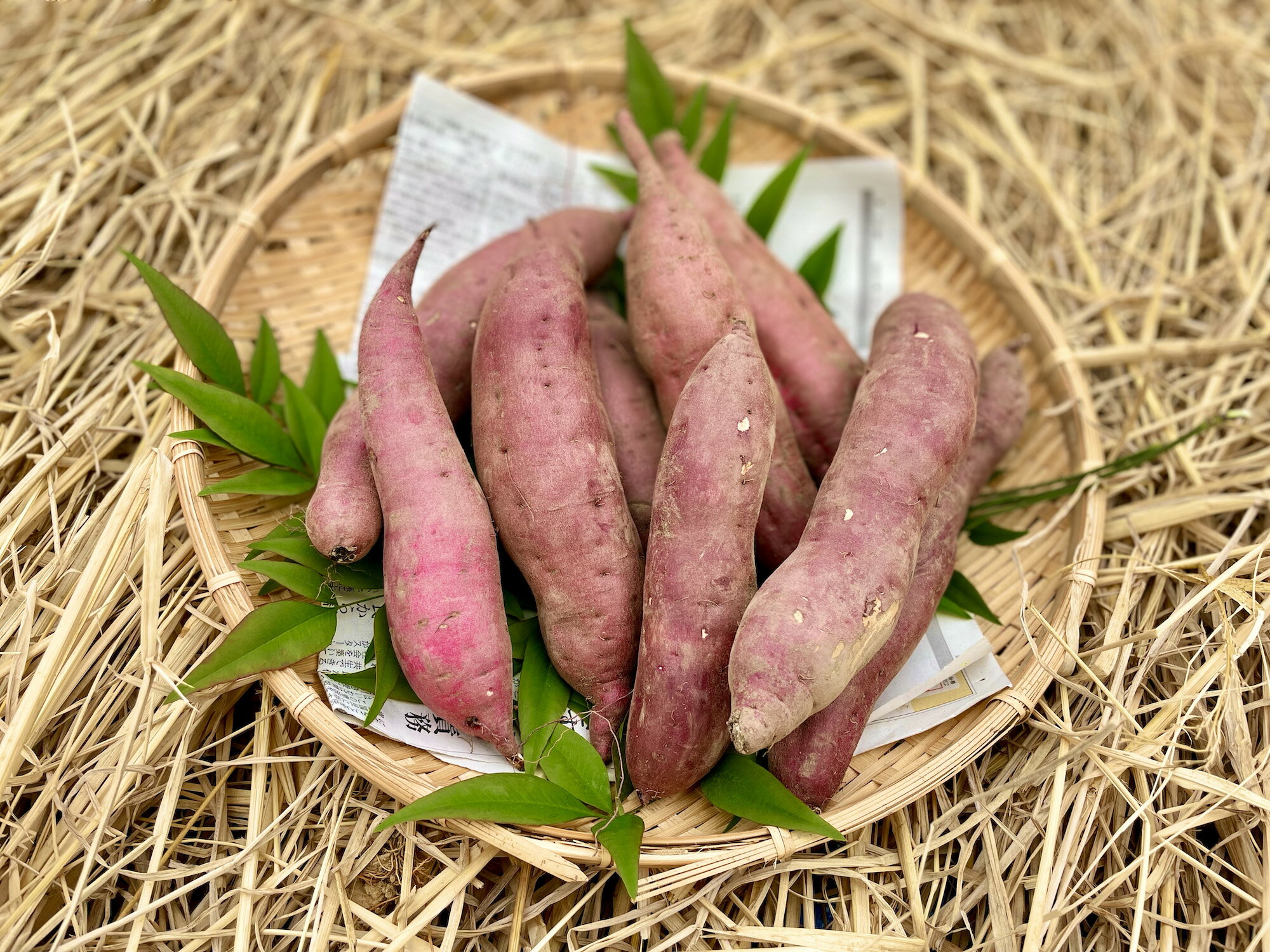 ホクホク!しあわせの味。サツマイモ(紅はるか)3kg