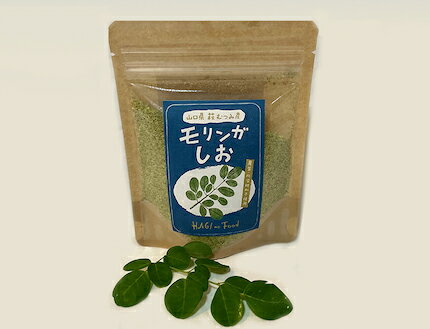 山口県産 モリンガ塩 農薬不使用 100g