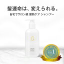 【RSL出荷】【シャンプー単品:自宅で酸熱トリートメント体験】レブリ シャンプー 295mL LEVULI 髪質感改善 酸熱 くせ うねり ダメージ補修 レブリン酸【サロン専売・美容室専売メーカーハホニコ発】