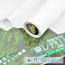 【 反物|夏用 】 東レ 爽竹 絽 長襦袢 洗える 夏用 長襦袢 長襦袢 女性用 レディース 【 送料無料 】