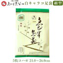 ＼2足セット／ ストレッチ 白 足袋 9cm - 30cm 子供用 大人用 滑り止め付き 送料無料 タビ たび レディース メンズ 大きいサイズ 底裏 単衣足袋 こはぜなし 口ゴム