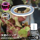 植物育成ライト LED 太陽光 観葉 栽培 タイマー設定 リモコン付 観葉植物 多肉植物 調光可能 リング 2個 USB給電 植物育成 ライト ガーデニング 設...