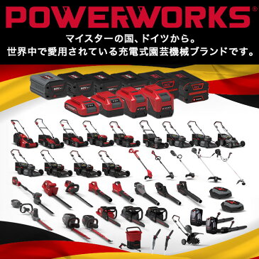 【P5倍!お買い物マラソン】チェンソー チェーンソー 小型 高枝きり 電動チェンソー コードレス 充電式チェンソー 電動 電気 ハンド 枝切り 枝打ち 伐採 薪 電動 ノコギリ リチウムイオン PD48CS36P (バッテリーセット)