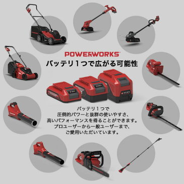 【P5倍!お買い物マラソン】チェンソー チェーンソー 小型 高枝きり 電動チェンソー コードレス 充電式チェンソー 電動 電気 ハンド 枝切り 枝打ち 伐採 薪 電動 ノコギリ リチウムイオン PD48CS36P (バッテリーセット)