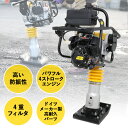 haige:10015415のサンプル画像2