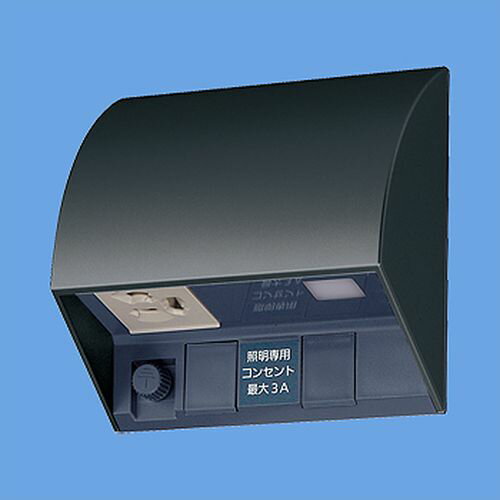 パナソニック:スマート電子EEスイッチ付フル接地防水コンセント 型式:EE4553W