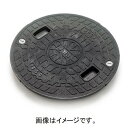 城東リプロン:耐圧マンホールカバー 型式:JT2-300SFW(文字無・穴無)白