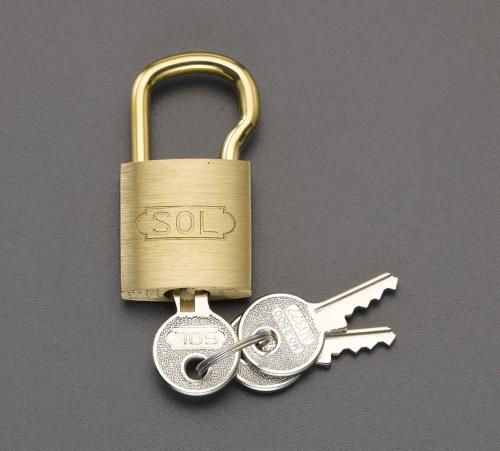 【SALE価格】エスコ (ESCO) EA983TC-73 25mm シリンダー錠(18mm吊長/同一キー) EA983TC-73 【5個セット】