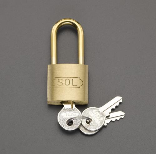 【SALE価格】エスコ (ESCO) EA983TC-74 30mm シリンダー錠(30mm吊長/同一キー) EA983TC-74 【4個セット】