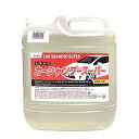 【SALE価格】エスコ (ESCO) EA922AB-206 3.0L カーシャンプー(ノンコンパウンド) EA922AB-206