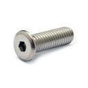 【SALE価格】エスコ (ESCO) EA949JK-1030 M10x30六角穴付ボルト(超低頭/小径/ステンレス/1本 EA949JK-1030