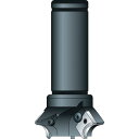 富士元 Rヌーボー シャンクφ32 ( NK32-70R ) 富士元工業(株)
