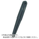 TRUSCO　超硬チップ付コンパス　長さ250　円直径380 PTC-250 (250MM) ( PTC250 ) トラスコ中山（株）