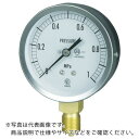 【SALE価格】長野 JIS汎用形圧力計(A枠) 圧力レンジ(MPa):0.0~2.50 ( GS51-131-2.5MP ) 長野計器(株)(4)