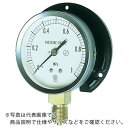 【SALE価格】長野 JIS汎用形圧力計(B枠) 圧力レンジ(MPa):0.0~0.10 ( GS51-231-0.1MP ) 長野計器(株)
