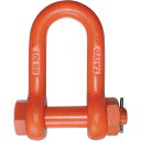 【SALE価格】TAIYO 軽量シャックル RS-20t(1062634) ( RS20T ) 大洋製器工業(株)