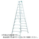 PiCa 専用脚立スーパージョブJOB型 10尺 ( JOB-300E ) (株)ピカコーポレイション ( KGX74 )