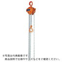 象印 C21型チェーンブロック5t・3m(C21-5) ( C21-05030 ) 象印チェンブロック(株)