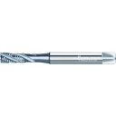 【SALE価格】Prototyp スパイラルタップ パラデュア INOX メートルねじ用 TICNコート M8 Φ6.2 ( JC2056306-M8 ) ワル...