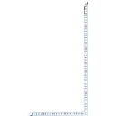 TRUSCO JISシルバー曲尺同厚サイズ50cm ( TK-502CN ) トラスコ中山(株)(4)