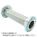 ZENSHIN フレキシブルメタルホース(フランジ型) 呼び径65A(2 1/2インチ) ( Z-4000-65-300 ) ゼンシン(株)