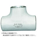 FLOBAL 同径チーズ S10S 09100066 ( B-TS-10S-50A ) フローバル(株)