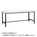 TRUSCO 軽荷重作業台(300kg)AE型 1800X600XH740 基本タイプ ダークグレー色 ( RAE-1860 DG ) トラスコ中山(株)(4)