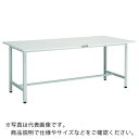TRUSCO 軽荷重作業台(300kg)AE型 1500X750XH740 基本タイプ ホワイト色 ( AE-1500 W ) トラスコ中山(株)