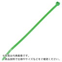 PANDUIT ナイロン結束バンド 緑 (100本入) ( PLT1M-C5 ) パンドウイットコーポレーション