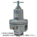 【SALE価格】日本精器 レギュレータ 20A 中圧用 ( BN-3R01H1-20 ) 日本精器(株)