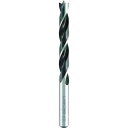 ALPEN 木工ドリル 3.0×61mm ストレートシャンク ( 61600300 ) ALPEN社