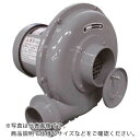 【SALE価格】淀川電機 電動送風機 プレート型 Nシリーズ 単相100V (0.045kW) ( NK2L ) (株)淀川電機製作所