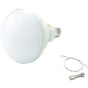 【SALE価格】TRUSCO LED投光器用 50W LED球 ( RTL-50W ) トラスコ中山(株)