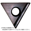 富士元 C面取り用精密級チップ 超硬K種 TiAlNコーティング NK8080 ( TT32GUR NK8080 ) 【12個セット】 富士元工業(株)