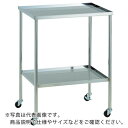 TRUSCO ステンレスワゴン 抗菌SUSワゴン 上下皿 450X300 ( KSCW-2A ) トラスコ中山(株)