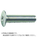 TRUSCO 超低頭小ねじ 三価クロメート M5X30 6本入 ( TFSC-0530 ) トラスコ中山(株)