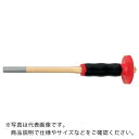 RENNSTEIG ハンドガード付平行ピンポンチ 14mm ( 451-314-0 ) RENNSTEIG社
