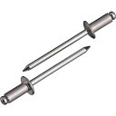 エビ ブラインドリベット(アルミニウム/スティール製) 6-12(20本入) エコパック ( NSA612MP ) (株)ロブテックス