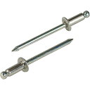 【SALE価格】エビ ブラインドリベット(ステンレス/スティール製) 5-5(25本入) エコパック ( NSS55MP ) (株)ロブテックス ( I9O13 )(4)