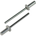 エビ ブラインドリベット(シールドタイプ) アルミニウム/スティール製 6-5(25本入) エコパック ( NSA65CMP ) (株)ロブテックス ( I9P19 )(4)