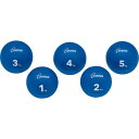 【SALE価格】トーエイライト 健康促進用品 メディシンボール 5kg ( H7184 ) トーエイライト(株)