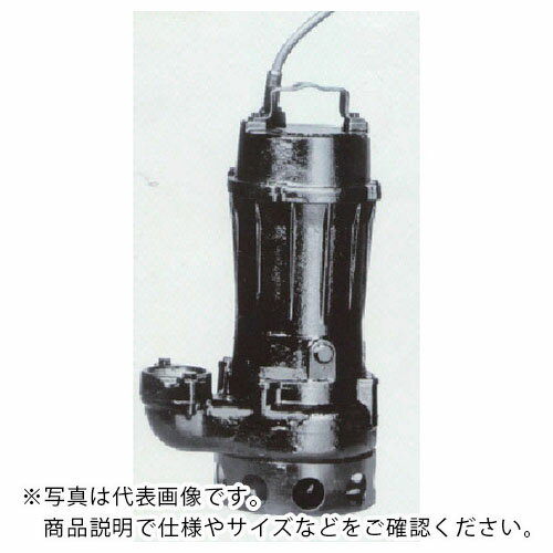 TERADA 汚物用水中ポンプ 0.75kw 全揚程8.2m 50Hz ( TCN4-507 50HZ ) (株)寺田ポンプ製作所 【メーカー..
