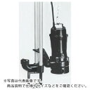 TERADA 汚物用水中ポンプ 5.5kw 全揚程18.0m 50Hz ( TCN6D-555H 50HZ ) (株)寺田ポンプ製作所 【メーカー取寄】