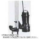 TERADA 汚物用水中ポンプ 2.2kw 全揚程8.6m 60Hz ( TCN6D-622 60HZ ) (株)寺田ポンプ製作所 【メーカー取寄】