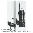 TERADA 汚物用水中ポンプ 5.5kw 全揚程13.6m 60Hz ( TCN6D-655L 60HZ ) (株)寺田ポンプ製作所 【メーカー取寄】