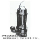 TERADA 汚物用水中ポンプ 3.7kw 全揚程11.8m 60Hz ( TCN7D-637 60HZ ) (株)寺田ポンプ製作所 【メーカー取寄】