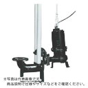 TERADA 汚物用水中ポンプ 3.7kw 全揚程17.0m 50Hz ( TCVS5D-537 50HZ ) (株)寺田ポンプ製作所 【メーカー取寄】