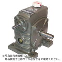 マキシンコー 一段ウォーム減速機 入力容量0.64kW ( W 50 L 20 ) (株)マキシンコー 【メーカー取寄】(4)