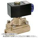 CKD パイロット式2ポート電磁弁（マルチレックスバルブ）162［［MM2］］／有効断面積 AD11-20A-03A-AC100V ( AD1120A03AAC100V ) CKD（株）