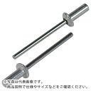 【SALE価格】エビ ブラインドリベット・シールドタイプ アルミ/スティール6-6 (1000本入) ( NSA66C ) (株)ロブテックス(4)